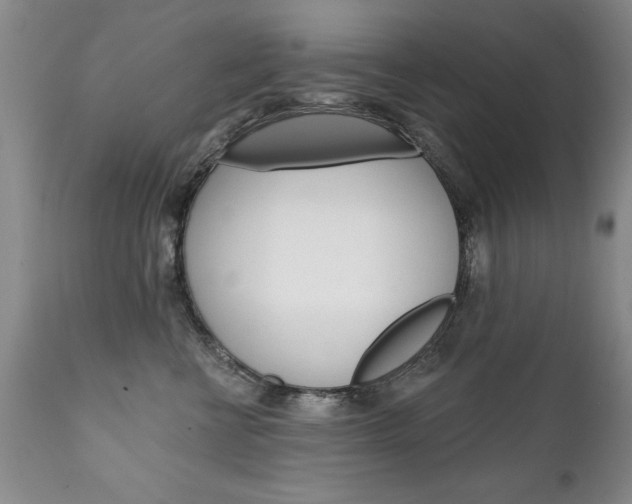 X0000111130570200906301108
