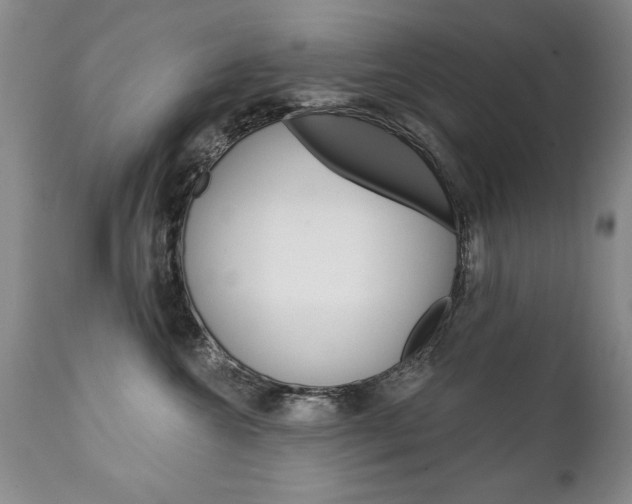 X0000111130572200906301108