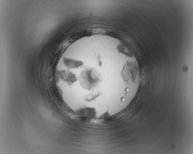 X0000111130573200906301108