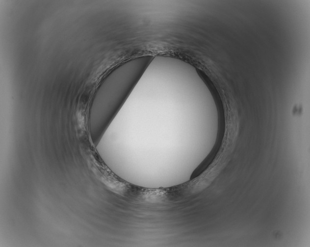 X0000111130576200906301108