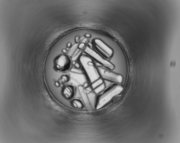 X0000111130577200906301108