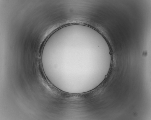 X0000111130578200906301108