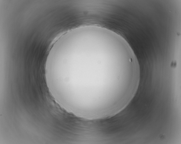 X0000111130579200906301108