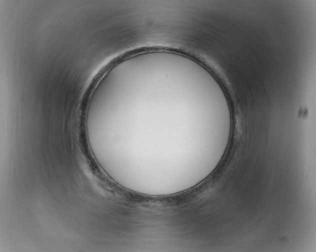 X0000111130580200906301108