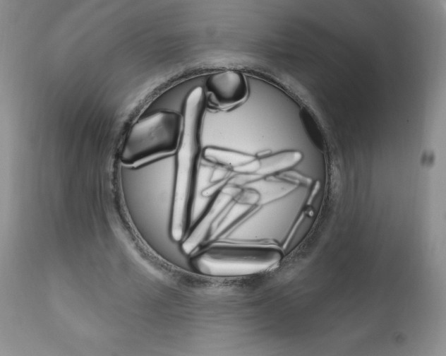X0000111130581200906301108