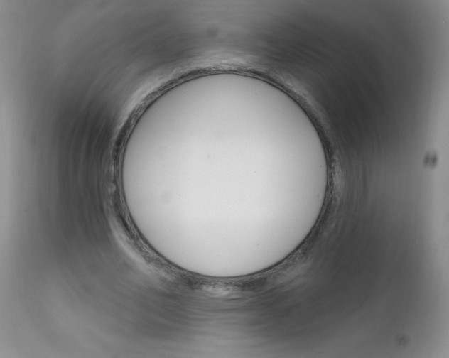 X0000111130582200906301108
