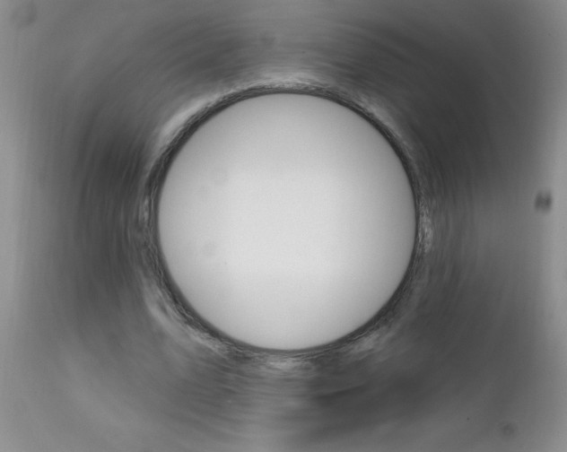 X0000111130583200906301108