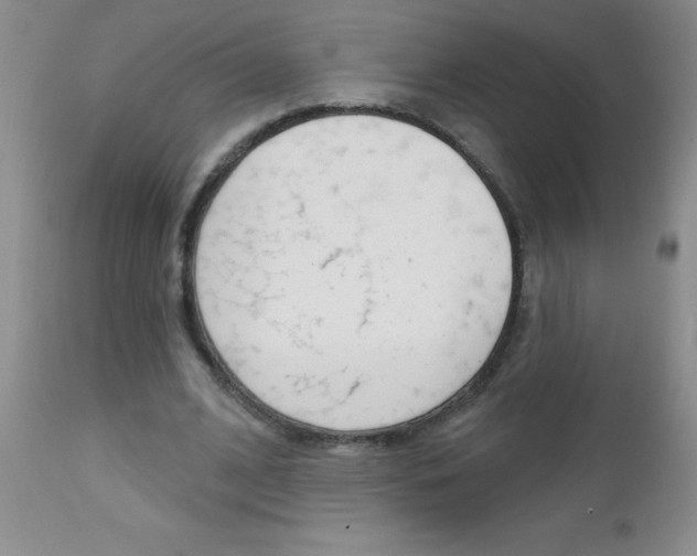 X0000111130584200906301108