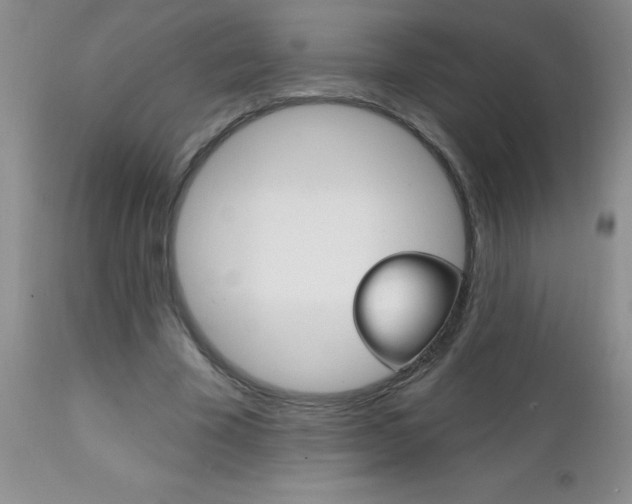 X0000111130585200906301108