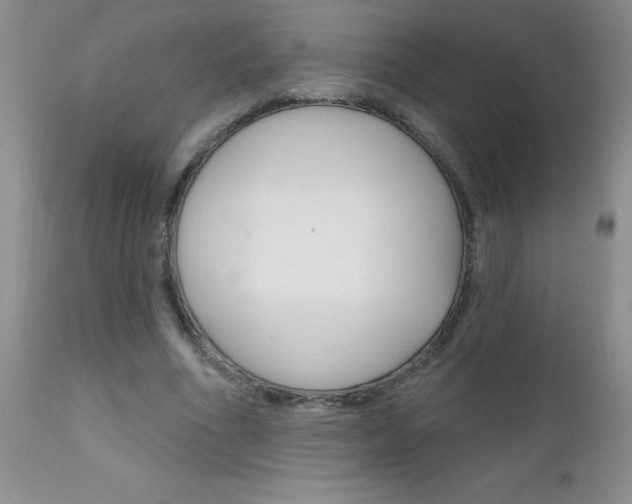 X0000111130586200906301107