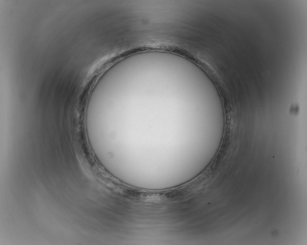 X0000111130587200906301107
