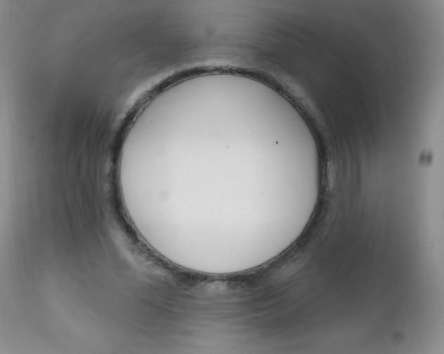 X0000111130588200906301107