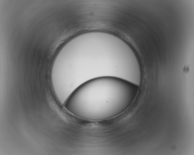 X0000111130589200906301107