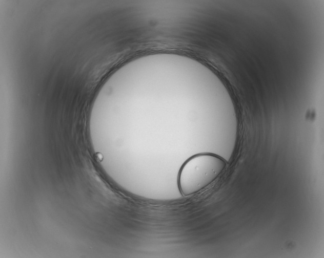 X0000111130593200906301107