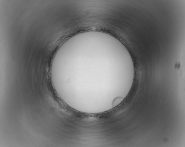 X0000111130594200906301107