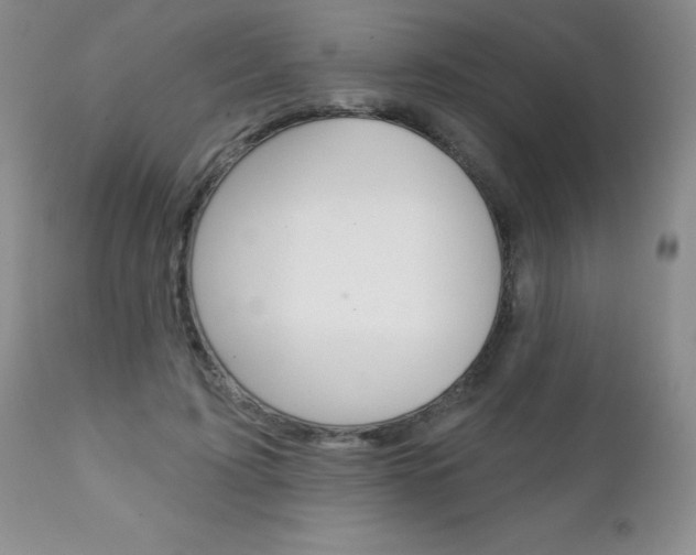 X0000111130595200906301107