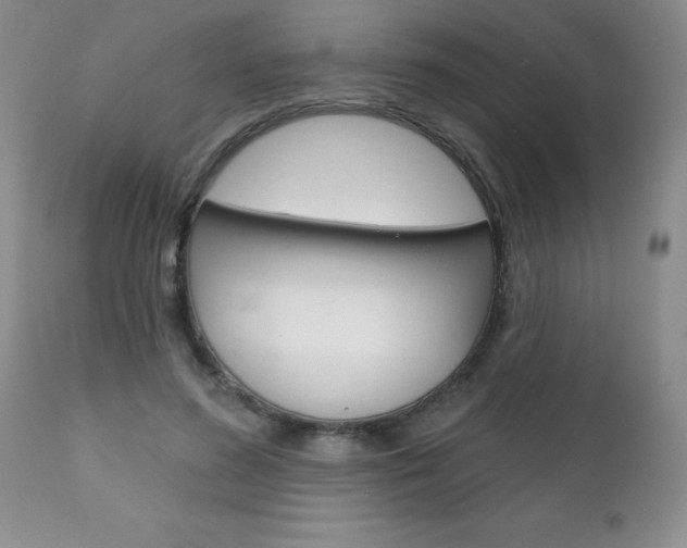 X0000111130596200906301107
