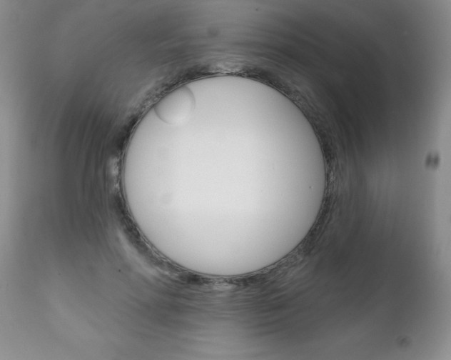 X0000111130598200906301107