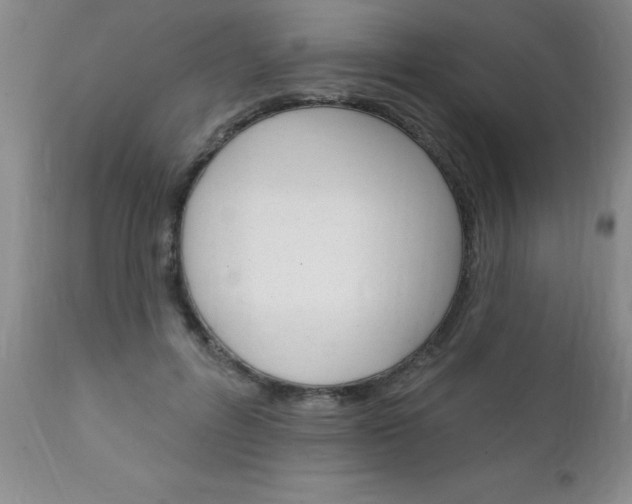 X0000111130600200906301107