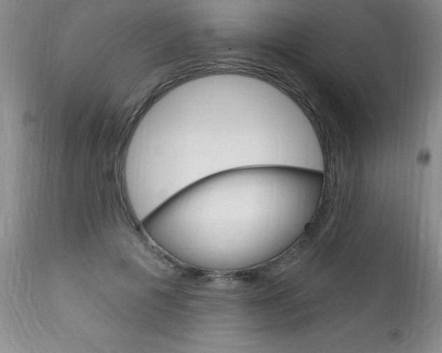 X0000111130601200906301107