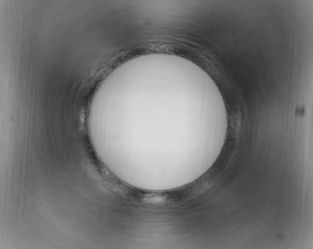 X0000111130602200906301107