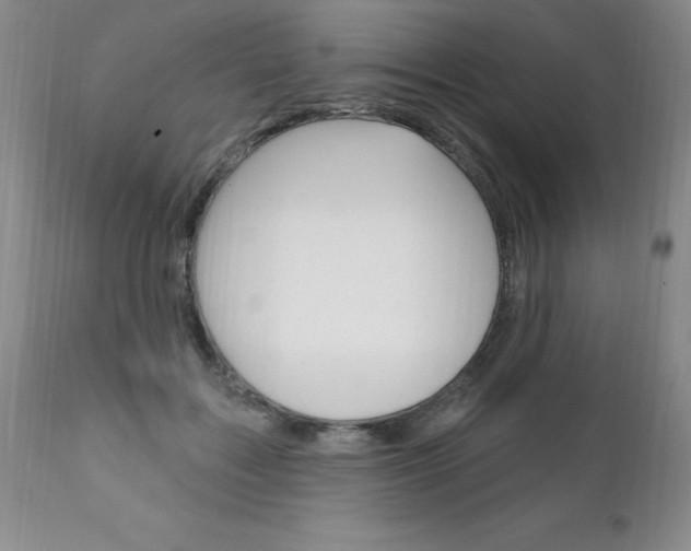 X0000111130603200906301107
