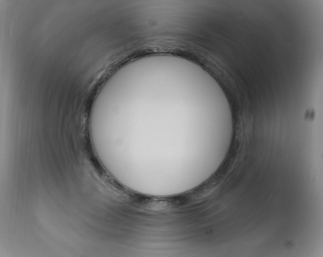 X0000111130604200906301107