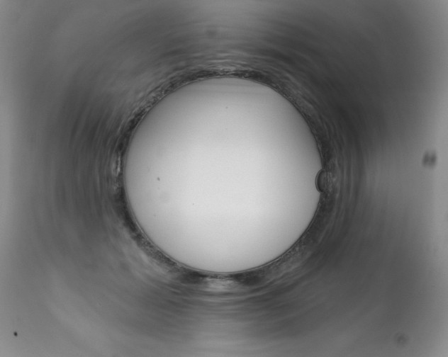 X0000111130605200906301107