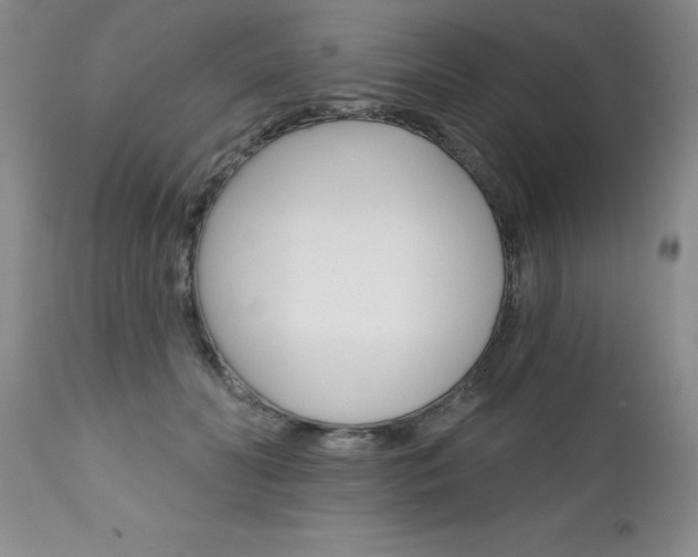 X0000111130606200906301107