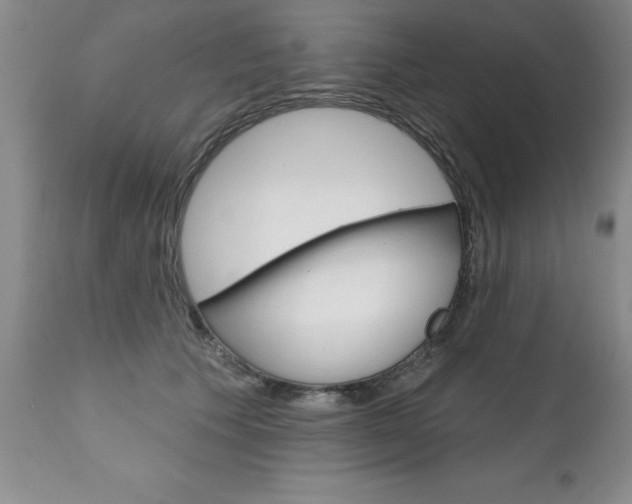X0000111130609200906301107