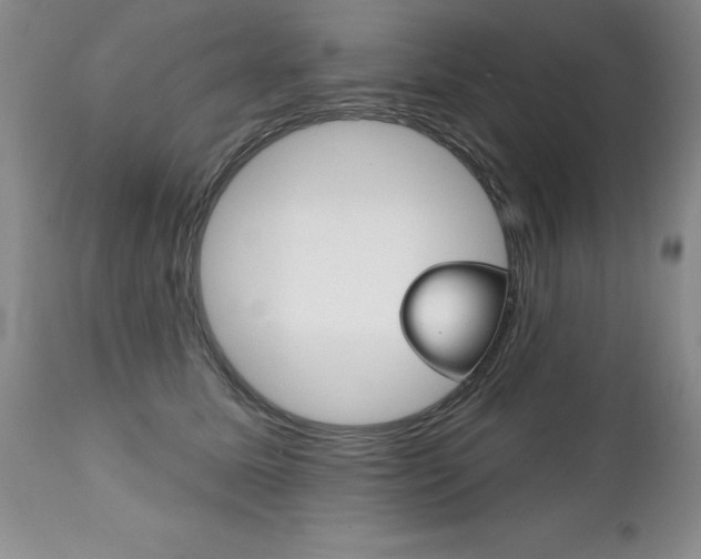 X0000111130611200906301107