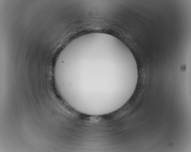 X0000111130612200906301107