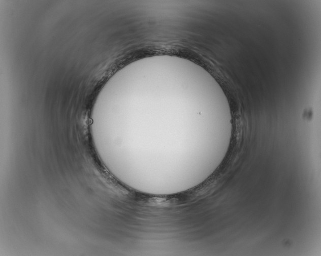 X0000111130613200906301107