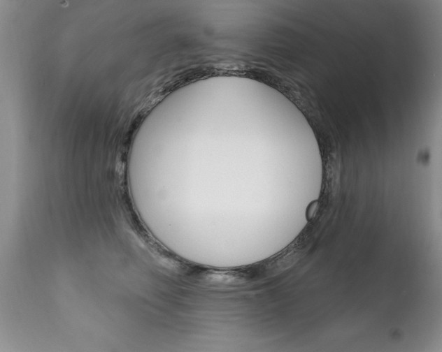 X0000111130614200906301107