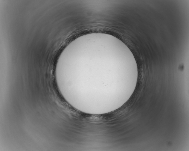 X0000111130615200906301107