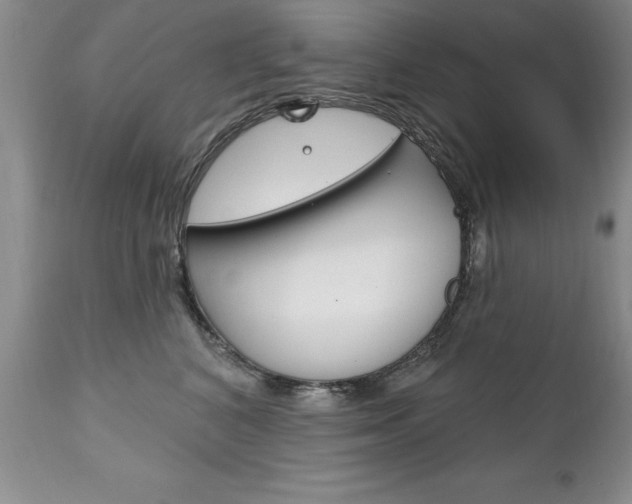 X0000111130616200906301107