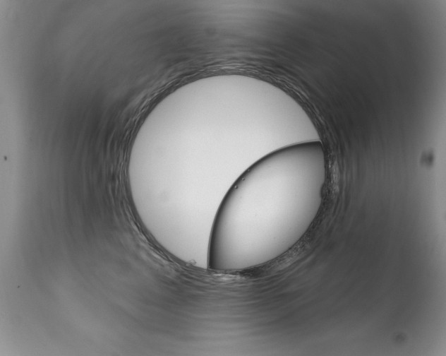 X0000111130617200906301107