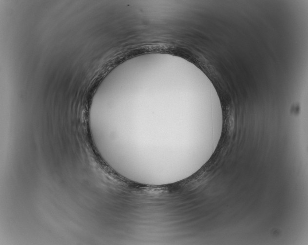 X0000111130619200906301107