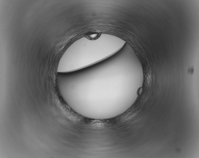 X0000111130620200906301107