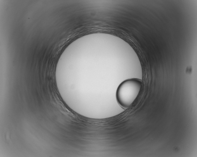 X0000111130621200906301107