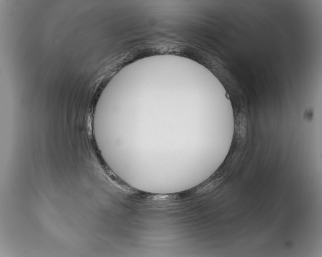 X0000111130622200906301107