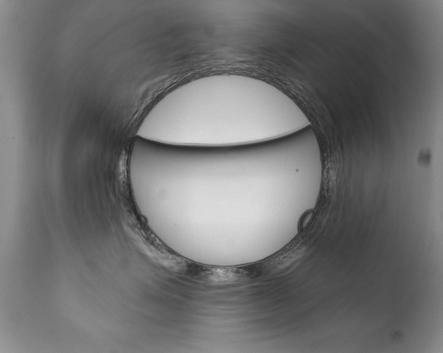 X0000111130623200906301107