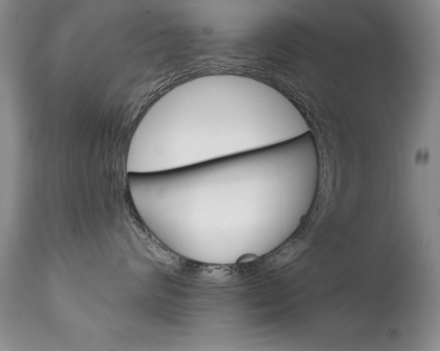 X0000111130624200906301107