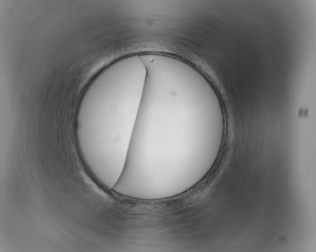 X0000111130625200906301105