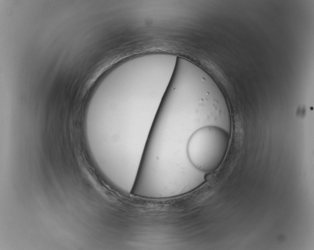 X0000111130626200906301105