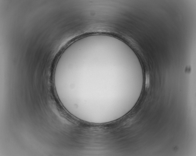 X0000111130627200906301105
