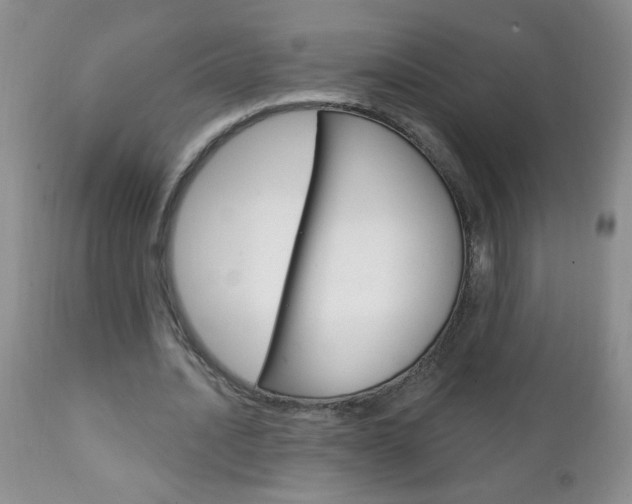 X0000111130628200906301105