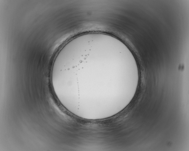 X0000111130629200906301106