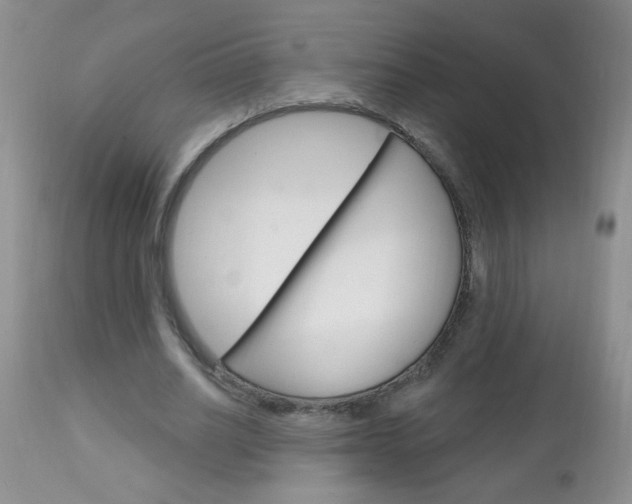 X0000111130630200906301106