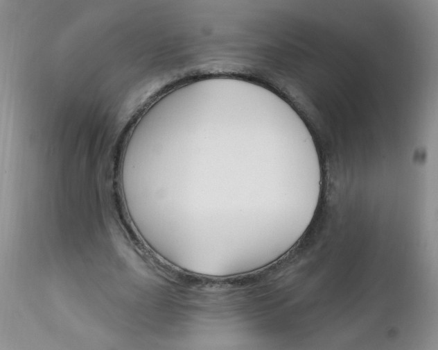 X0000111130631200906301106